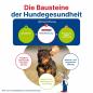 Preview: GladiatorPLUS Hund - die Milieufütterung